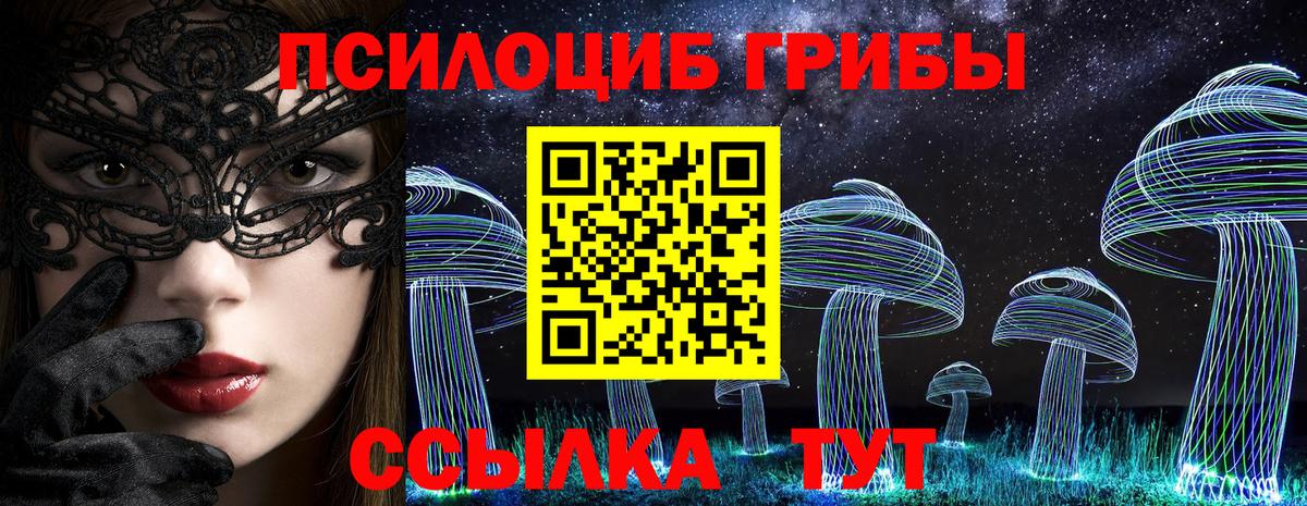 Псилоцибиновые грибы мицелий Острогожск